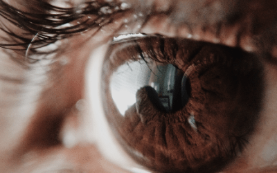 Neurosciences : mieux se connaître pour mieux agir