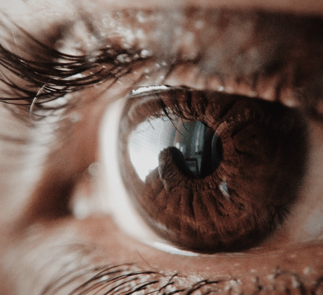 Neurosciences : mieux se connaître pour mieux agir